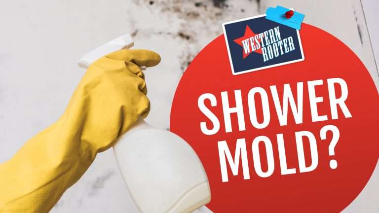 how-to-properly-clean-shower-mold-person-spraying-mold
