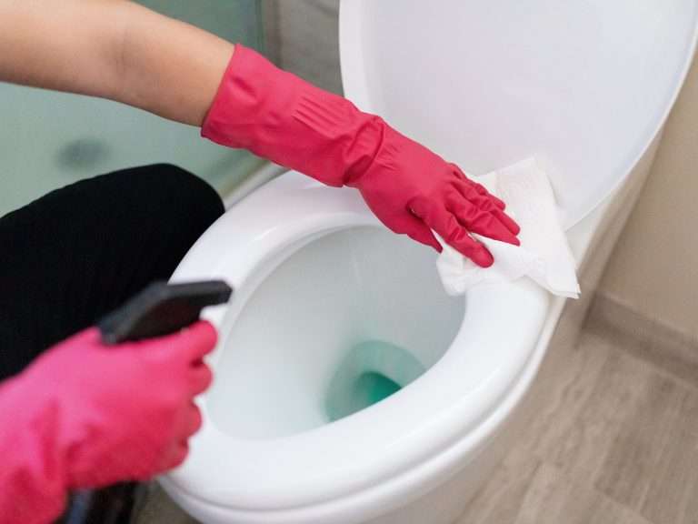 never clean your toilet with this