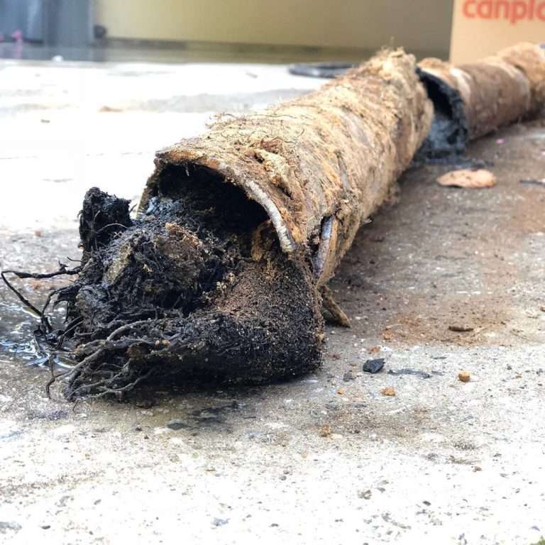 Cracks in a sewer line can cause bad odors and soil contamination.