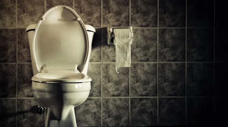 ghost flushing scary toilet