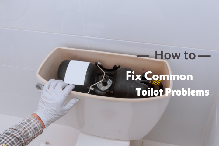 Common Toilet Problems