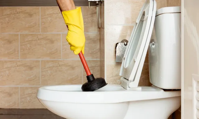 Toilet Keep Clogging