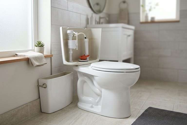 Toilet tank with lid removed showing flush mechanism — flapper valve, fill valve, and overflow tube visible