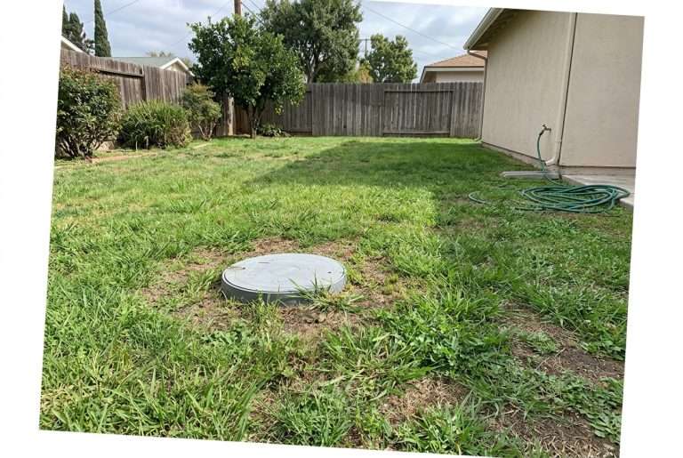 Residential backyard lawn over a septic leach bed with ground access cover