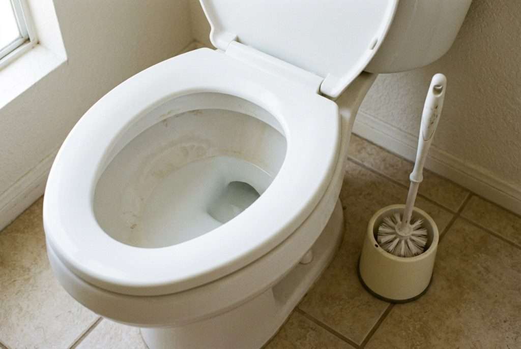 White toilet bowl with toilet brush in holder in a home bathroom